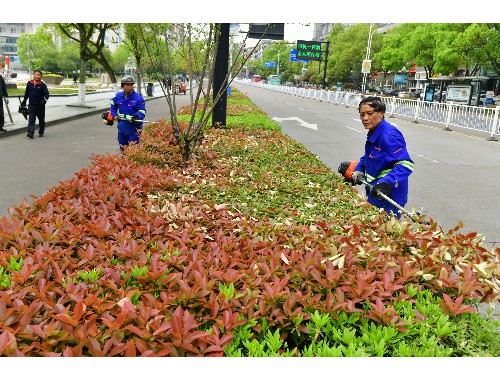 博鱼boyu官方网站：我国城市绿化发展规划