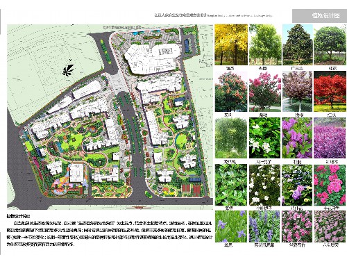 博鱼boyu：北安附近绿化苗木市场在哪里啊